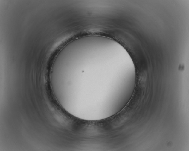 X0000092330732200709281426