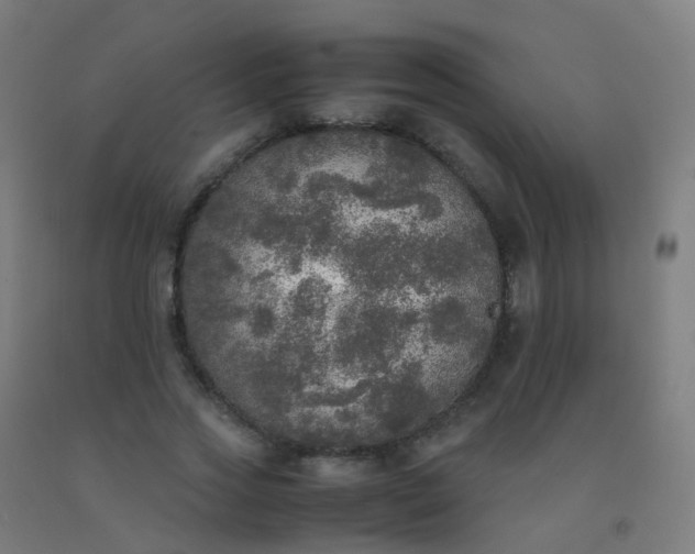 X0000092330733200709281426
