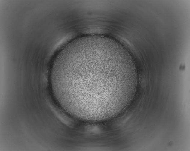 X0000092330735200709281426