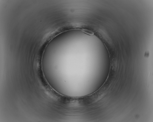X0000092330740200709281426