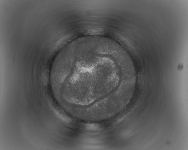 X0000092330741200709281426