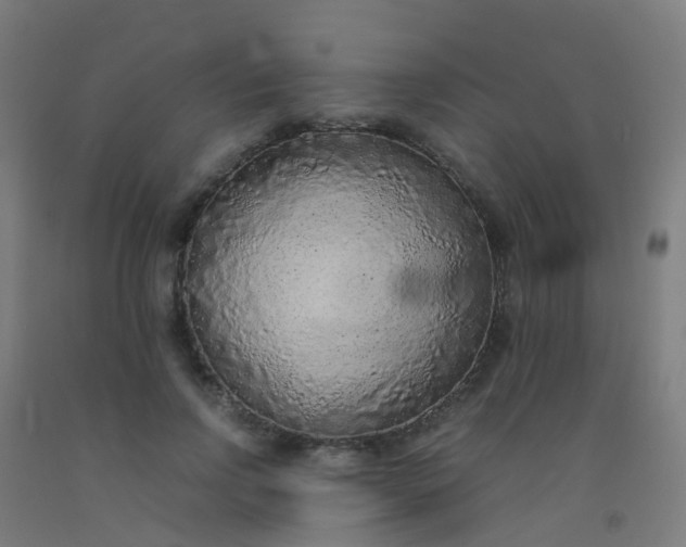 X0000092330742200709281426