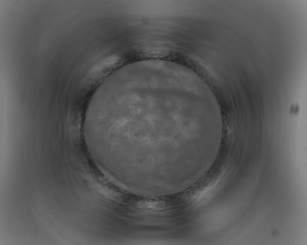 X0000092330745200709281426