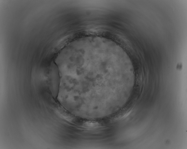 X0000092330749200709281426
