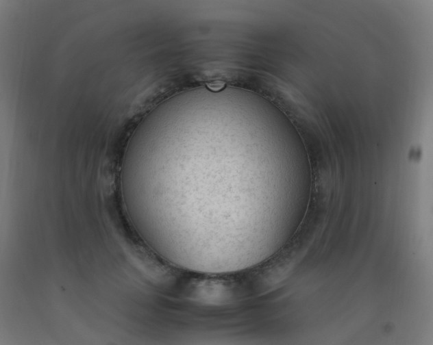 X0000092330751200709281426