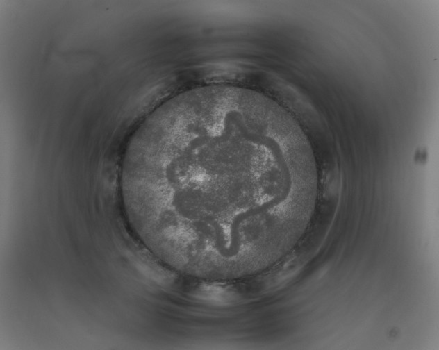 X0000092330753200709281426