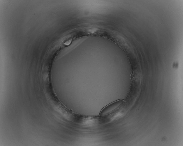 X0000092330754200709281426