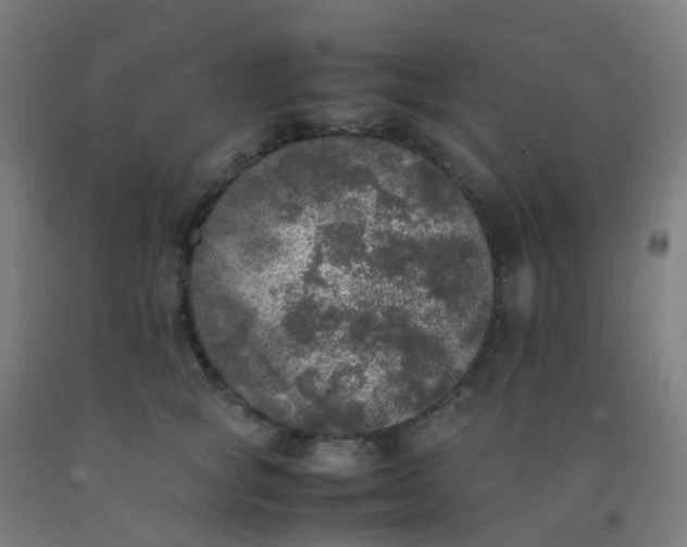 X0000092330757200709281426