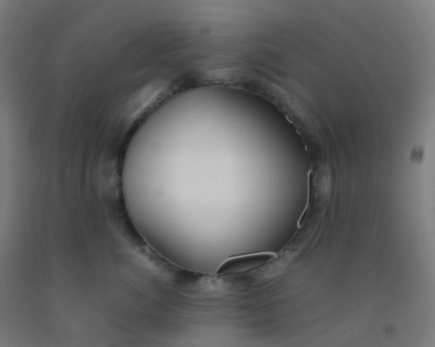 X0000092330764200709281426