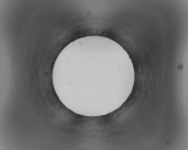 X0000092330769200709281425