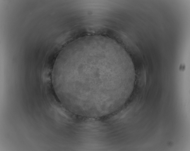 X0000092330770200709281425
