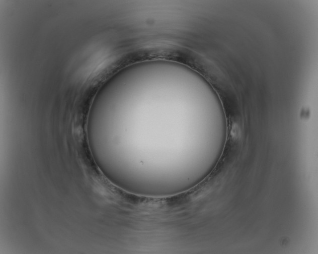 X0000092330771200709281425