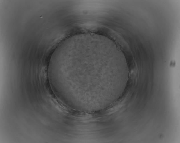X0000092330772200709281425