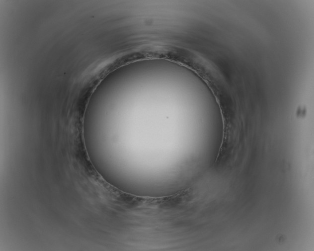 X0000092330773200709281425