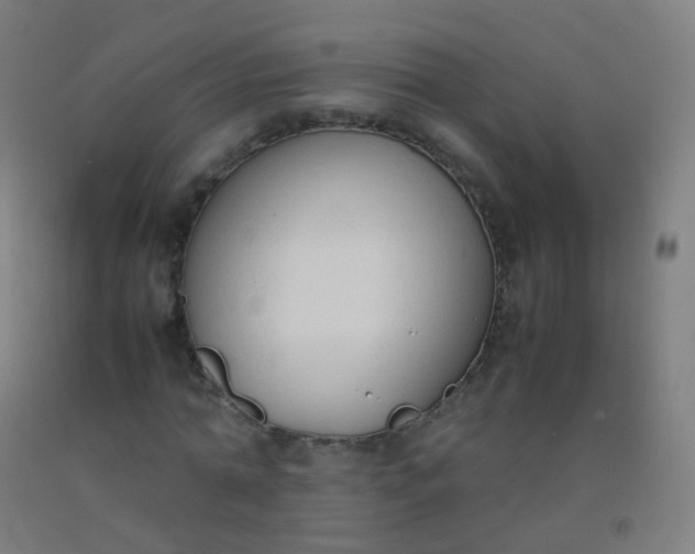 X0000092330774200709281425