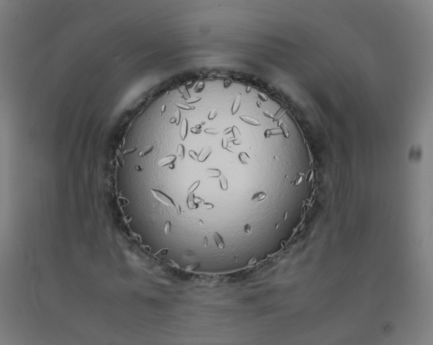 X0000092330775200709281425