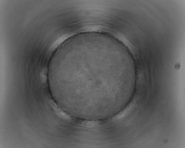 X0000092330778200709281425