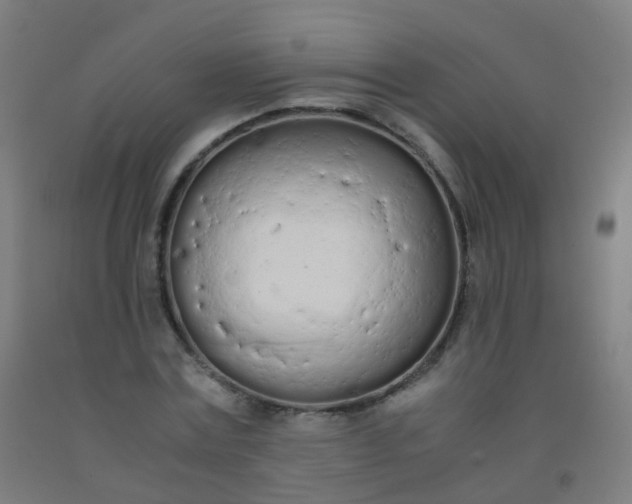 X0000092330779200709281425