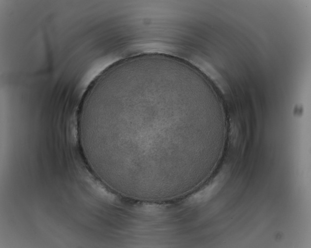 X0000092330782200709281425