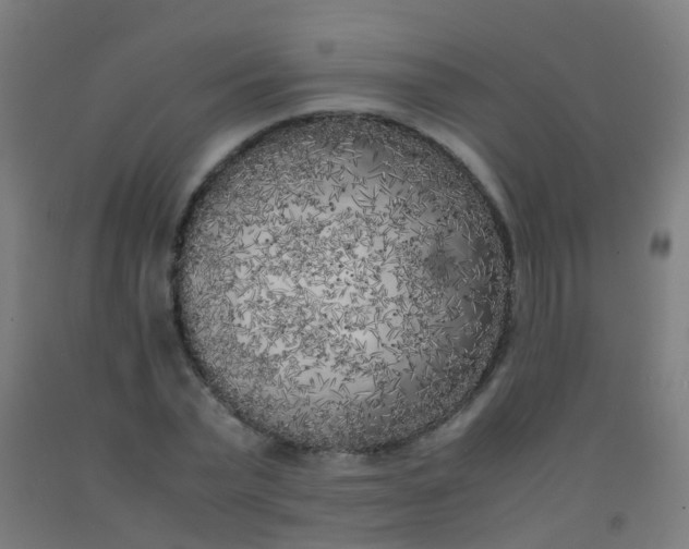 X0000092330783200709281425