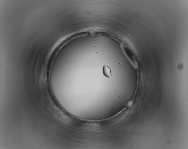 X0000092330784200709281425