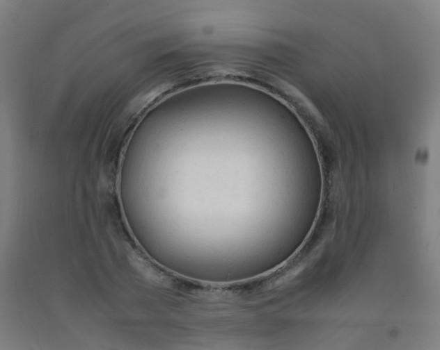 X0000092330785200709281425
