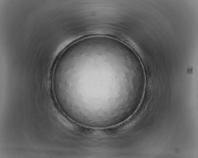 X0000092330787200709281425