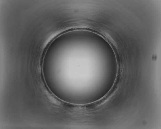 X0000092330789200709281425