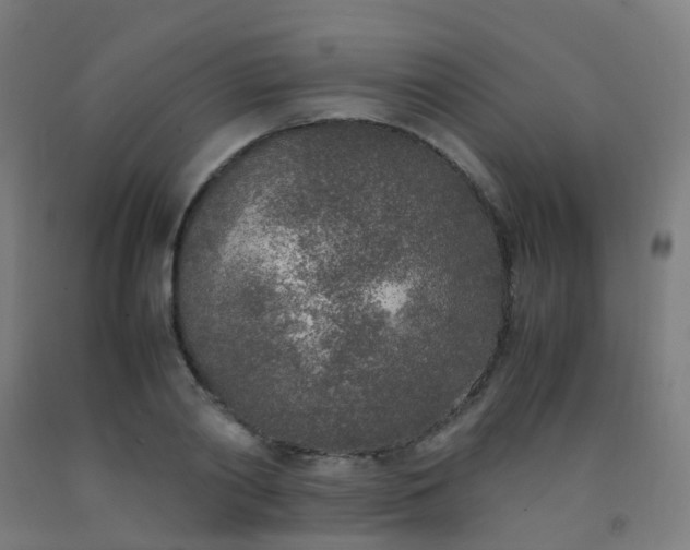 X0000092330790200709281425