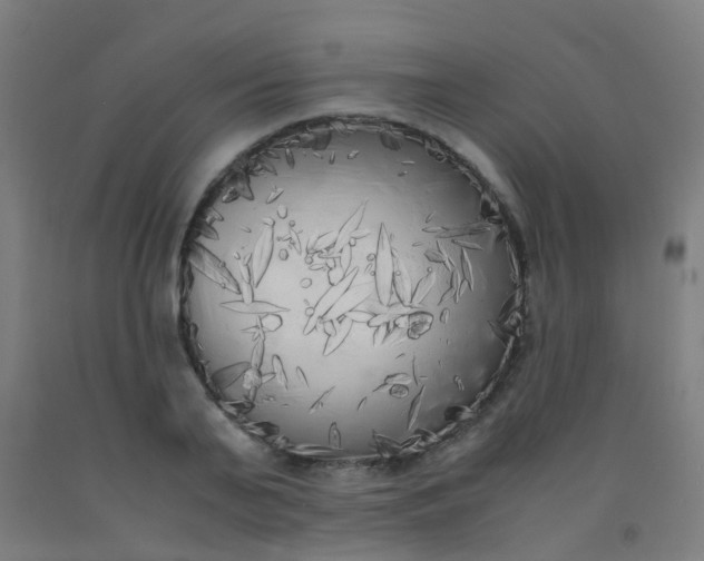 X0000092330791200709281425