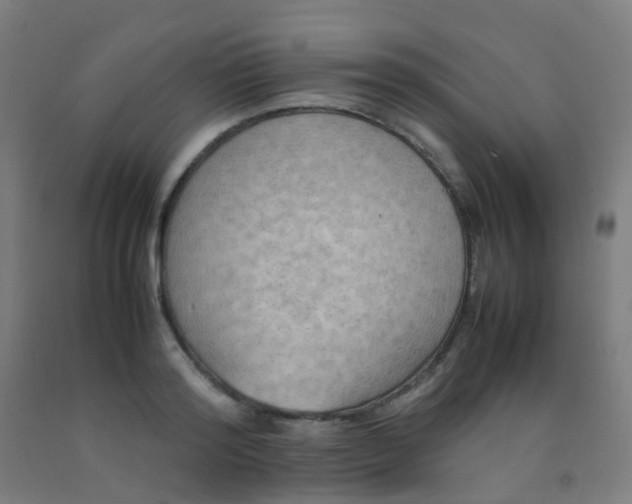 X0000092330796200709281425
