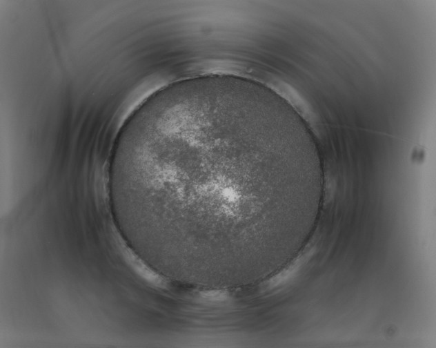 X0000092330798200709281425