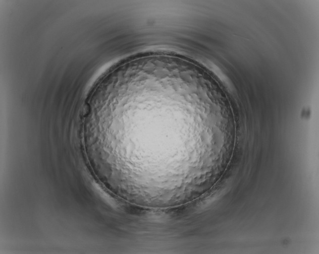 X0000092330799200709281425