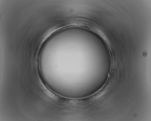 X0000092330803200709281425