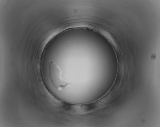X0000092330805200709281425