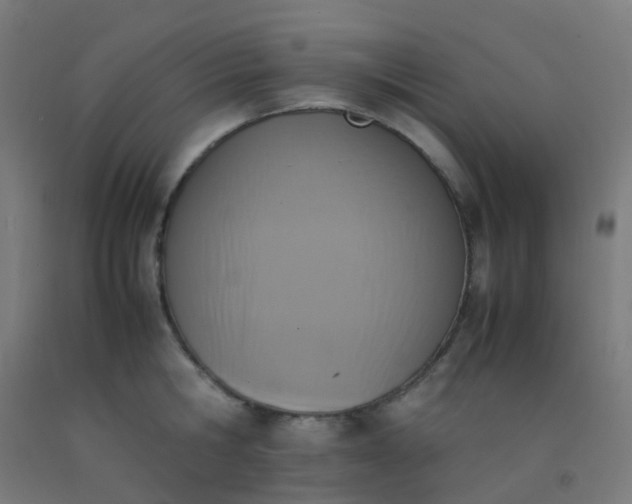 X0000092330806200709281425