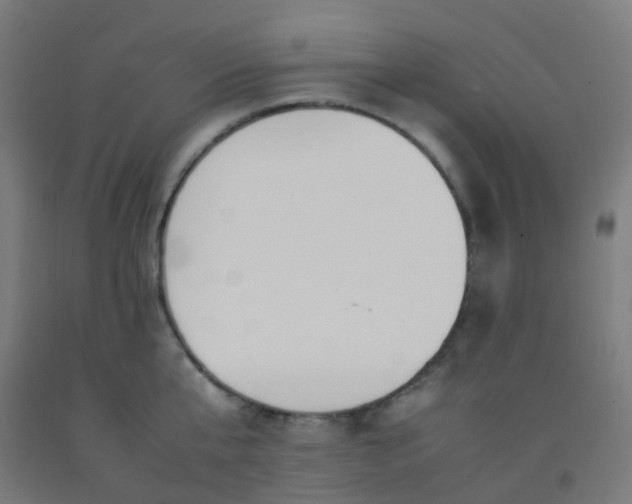X0000092330807200709281425