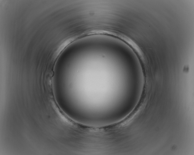 X0000092330809200709281425