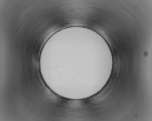 X0000092330810200709281425
