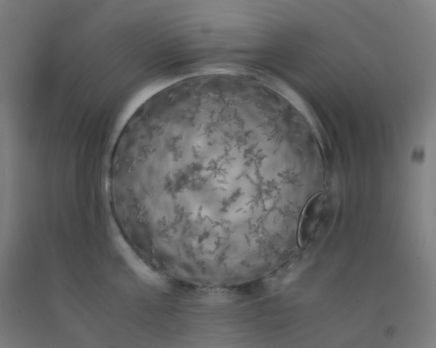 X0000092330811200709281425