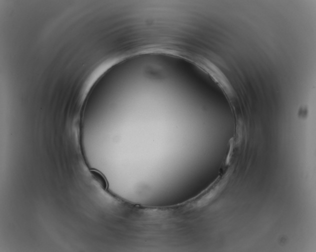X0000092330812200709281425