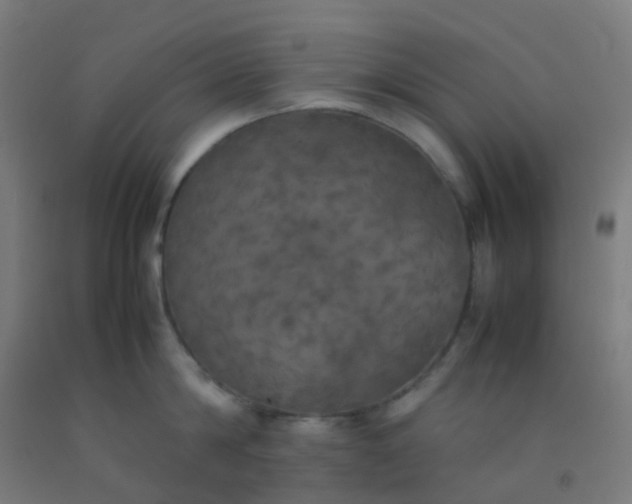 X0000092330814200709281425
