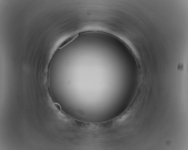 X0000092330815200709281425