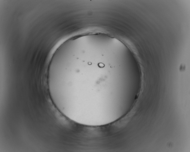 X0000092330816200709281425