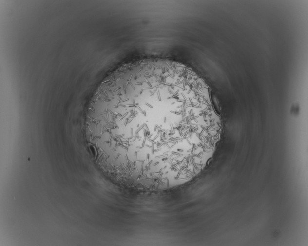 X0000092330817200709281424