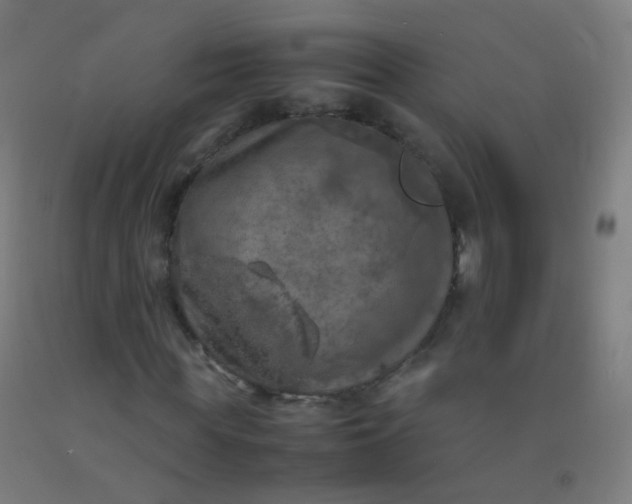 X0000092330819200709281424