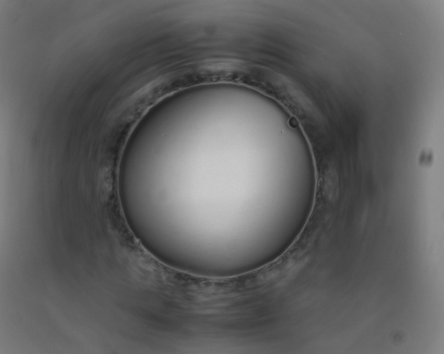 X0000092330821200709281424