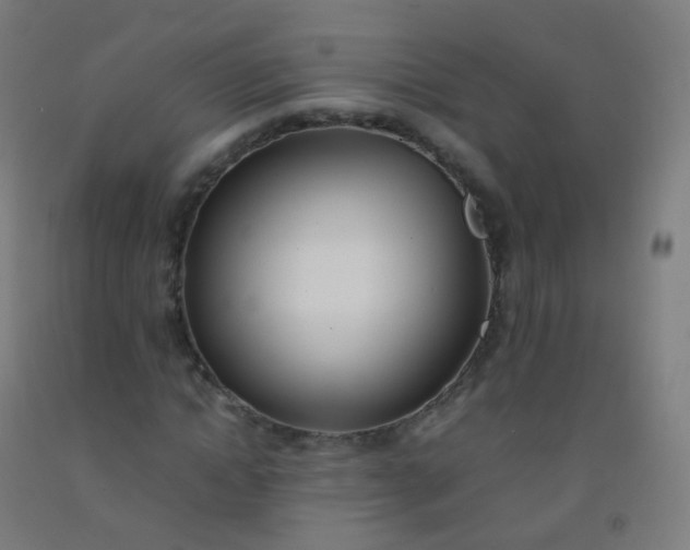 X0000092330822200709281424