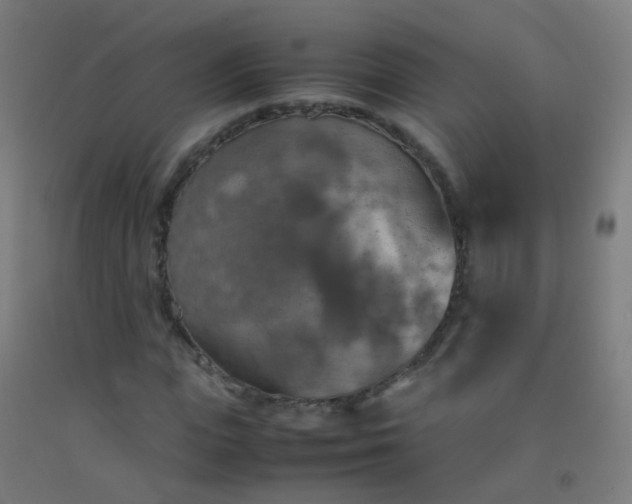 X0000092330823200709281424