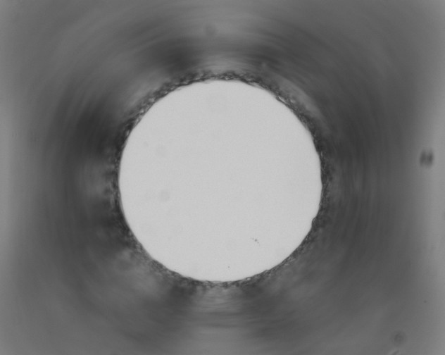 X0000092330824200709281424